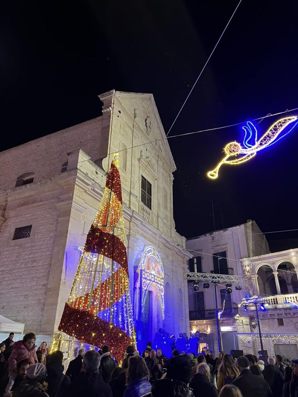 Si Accende L'albero In Piazza Cavour. È Natale A Bitonto - Cronaca ...