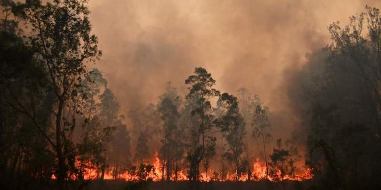 Lotta agli incendi boschivi estivi in Puglia per il 2020
