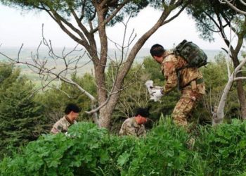 “Stop alle esercitazioni militari a fuoco nel parco dell’Alta Murgia”