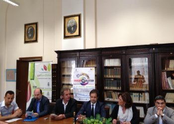 Biomasse, eolico, fotovoltaico, formazione: se ne parla stasera nella Sala degli Specchi