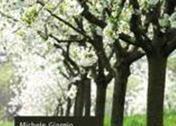 Riconoscimento nazionale “Città di Adelfia” per il romanzo storico di Michele Giorgio