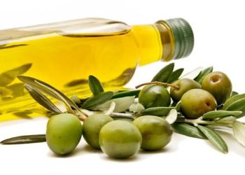 CNO e UNAPROL insieme per rendere l’olivicoltura un settore strategico del made in Italy