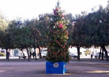 Mariotto. Il miracolo dell’albero di Natale che divenne bello con l’amore dei cittadini