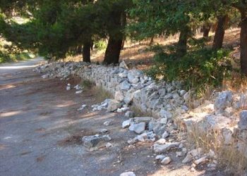 “La natura non lascia rifiuti, l’uomo sì!”, stamattina escursione al Bosco di Bitonto