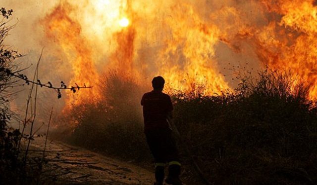 Incendi boschivi estivi: dal 15 giugno scatta il periodo di grave rischio