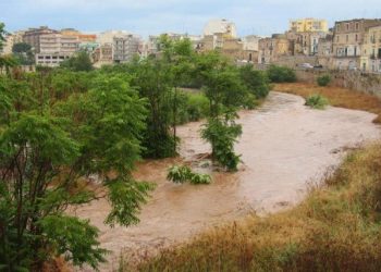 Danni del maltempo di giugno: domani i sopralluoghi dell’Ufficio Provinciale Agricoltura