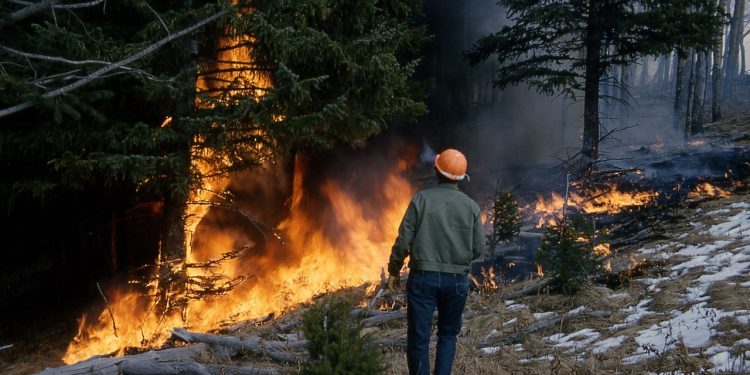 Ridurre al minimo i focolai. Torna, puntuale, l’ordinanza contro gli incendi boschivi