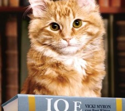 Libri sotto l’ombrellone/ “Io e Dewey”, la storia del gattino che cambiò le sorti di una biblioteca