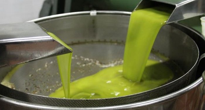 Lotta a frodi e contraffazioni, il Tribunale di Siena: “Il CNO unico ente rappresentativo degli interessi della produzione olivicola italiana”