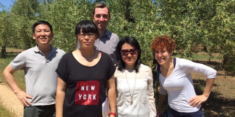 L’olio extravergine d’oliva di Bitonto sbarca in Cina