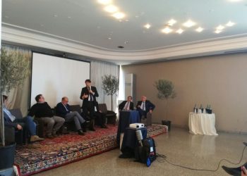 Sfide e strategie per gli olivicoltori italiani. Oliveti Terra di Bari ne parla con i vertici della filiera olivicola