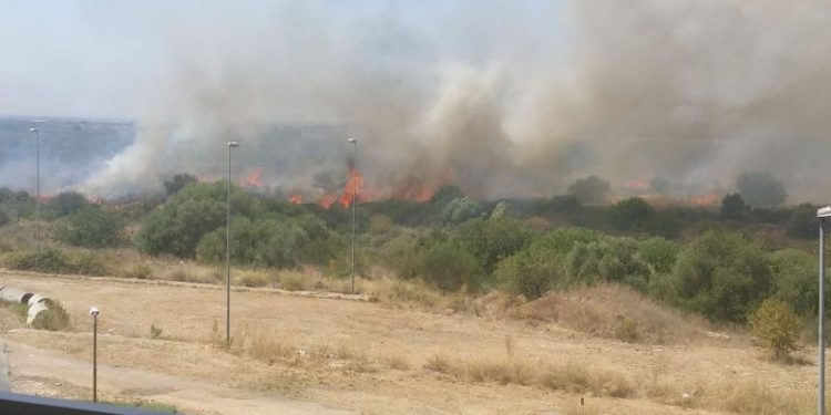 Ancora un vasto incendio nella Lama Balice. Colpita la zona nei pressi della Strada Provinciale 156