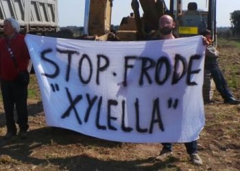 Affaire Xylella, il M5S: “Perché la Regione Puglia non pubblica il bando per il mondo scientifico?”
