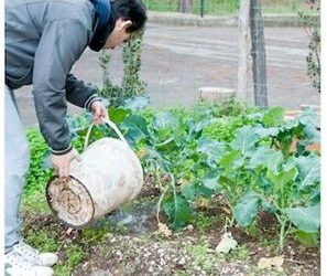 Oggi s’inaugura l'”Orto sociale”, area verde rivolta a persone affette da forte disagio psicosociale