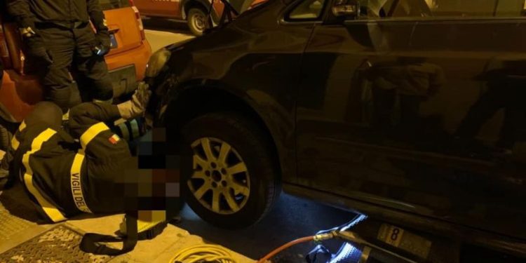 Un gatto randagio rimane incastrato in un’auto. Salvato dai Vigili del fuoco