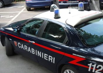 Ruba 150 chili di uva a Rutigliano. Arrestato 60enne bitontino