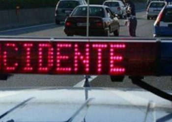 Maltempo. Brutto incidente a causa di alberi caduti sulla sp 231