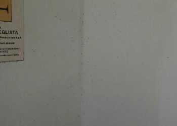 Insetti fastidiosi e cattivo odore, non è un bell’aspettare alla stazione ferroviaria Santi Medici