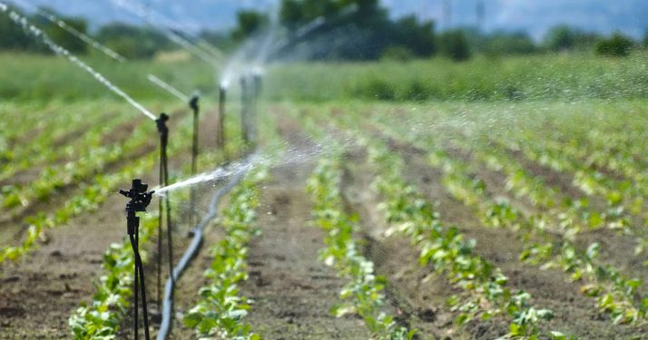 Acqua per uso irriguo, Damascelli (FI): “Risorsa mal gestita, in danno di agricoltori e dipendenti”