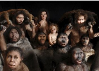 Quando la genetica mette nero su bianco