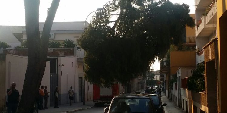 Grave emergenza in via Traiana. Un’auto incendiata e un grosso ramo pericolante