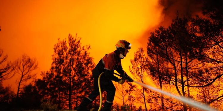 Lotta agli incendi boschivi estivi, obblighi e divieti nell’ordinanza del Comune di Bitonto