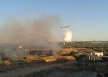 Pomeriggio di fuoco, ieri a Bitonto. Incendi in via Berlinguer, Lama Balice e via Giovinazzo