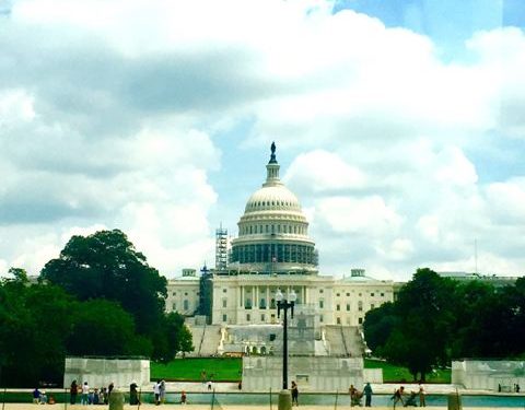 Diary from USA/Washington, il meraviglioso diamante nero dell’America