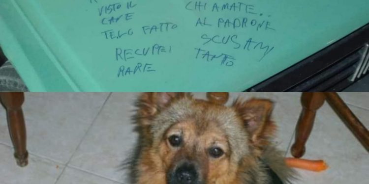 Continuano le ricerche di Chicco. Il ladro scrive sul cofano dell’auto: “Scusami per quello che ti ho fatto”